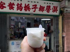 -洪馨椰子