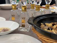 -丁老爷子苏香圆