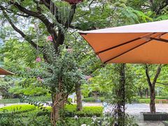 -缘生态云南菜·野生菌庭院餐厅(华侨城店)