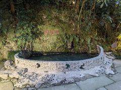 -十八棵（老龙井）御茶园(老龙井店)