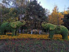 -长白岛森林公园