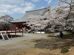 -醍醐寺