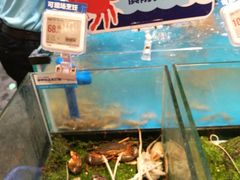 -盒马鲜生(曜一城店)