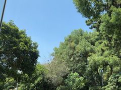 -浙江西子宾馆·瑶园咖啡厅