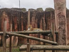 -杭州野生动物世界