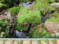 -陕西省红河谷森林公园