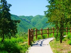 -白水寺森林公园