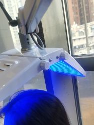 -碧莲盛·不剃发植发