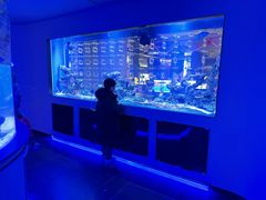 -上和臻品中国菜(花园街店)