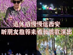 -华清宫景区