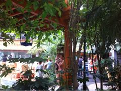 iphone_upload_pic-九尊食上(生态园林酒店)