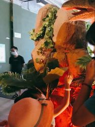 -恐龙探索乐园(磁器口店)