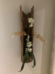-香秀空间科技抗衰·美容中心