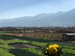 -翠田Green Field Kitchen