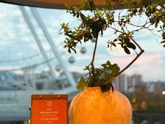 -文儒九号·闽菜馆(三坊七巷店)