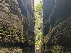 -梭布垭石林景区