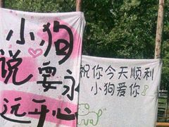 -爪吧宠物乐园 (温榆河示范区店)