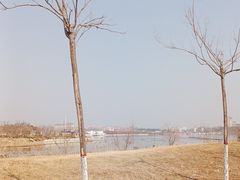 -卤阳湖国家湿地公园