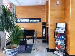 -海音琴行雅马哈钢琴·海伦·施特劳斯(金沙店)