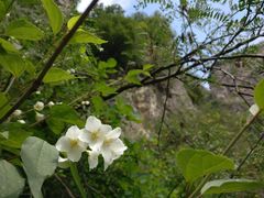 景点-神农山景区
