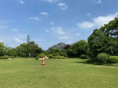 -桃花岛景观公园