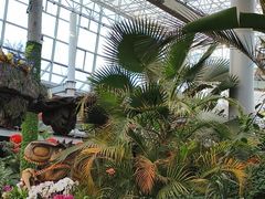 -沈阳植物园