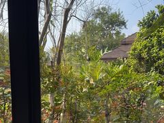-品泉餐厅·大盆鱼·走地鸡