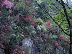 -木兰云雾山