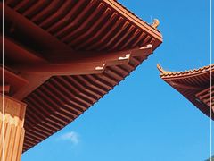 -深圳仙湖植物园