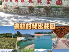 -广州市流溪河国家森林公园
