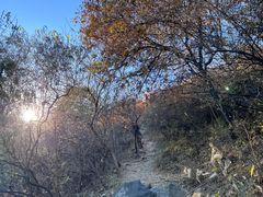 -北京西山国家森林公园