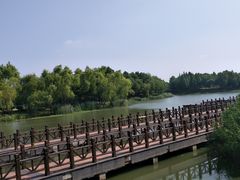 -尚贤河湿地