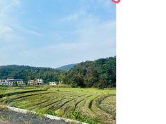 -仰天湖大草原