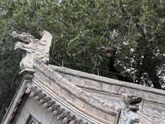 -内蒙古将军衙署博物院