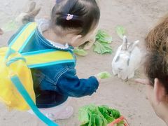 -前小桔亲子创意农场·草莓采摘·露营烧烤