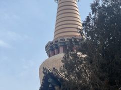 -张掖大佛寺景区