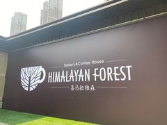 -喜马拉雅森HIMALAYAN FOREST