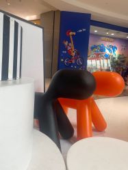 -海马体家庭照相馆(杭州远洋乐堤港店)