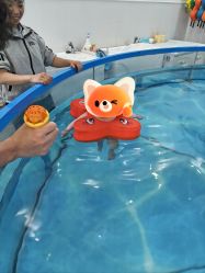 -雏芽婴幼儿游泳·小美医生小儿推拿(西村店)