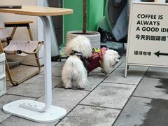 -Fulu Coffee福禄(花园城店)