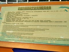 -演武大桥观景平台