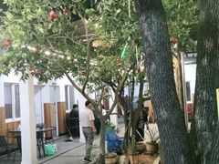 -李东农庄(中南百草园地标店)
