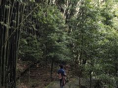 -凤栖山