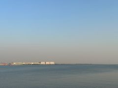 -大湾区中央湿地公园