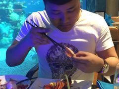 -海棠湾洲际-涛·海底餐厅·美人鱼·自助餐·海底隧道