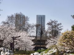 -堤角公园