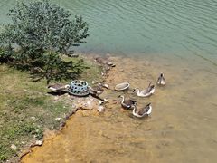 -广州白江湖森林公园