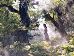 -Chom Cafe and Restaurant