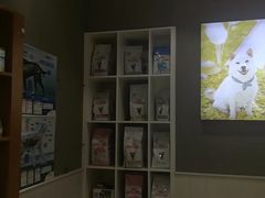 -关爱宠物医院·猫科中心·消化科(滨湖万达分院)