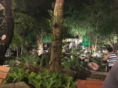 -绿光森林餐厅